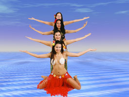 hawaii feest